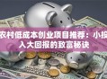 农村低成本创业项目推荐：小投入大回报的致富秘诀