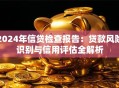 2024年信贷检查报告：贷款风险识别与信用评估全解析
