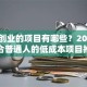在家创业的项目有哪些？2025年适合普通人的低成本项目推荐