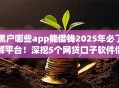 黑户哪些app能借钱2025年必了解平台！深挖5个网贷口子软件借款给黑户