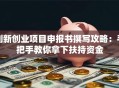 创新创业项目申报书撰写攻略：手把手教你拿下扶持资金