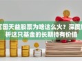 富国天益股票为啥这么火？深度解析这只基金的长期持有价值