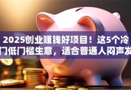 2025创业赚钱好项目！这5个冷门低门槛生意，适合普通人闷声发财
