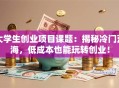 大学生创业项目课题：揭秘冷门蓝海，低成本也能玩转创业！