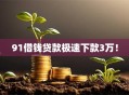 91借钱贷款极速下款3万！