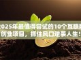 2025年最值得尝试的10个互联网创业项目，抓住风口逆袭人生！