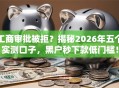 工商审批被拒？揭秘2026年五个实测口子，黑户秒下款低门槛！