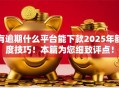 有逾期什么平台能下款2025年额度技巧！本篇为您细致评点！