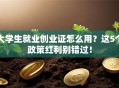大学生就业创业证怎么用？这5个政策红利别错过！