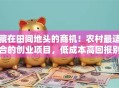 藏在田间地头的商机！农村最适合的创业项目，低成本高回报别小瞧！