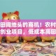 藏在田间地头的商机！农村最适合的创业项目，低成本高回报别小瞧！