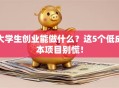 大学生创业能做什么？这5个低成本项目别慌！