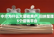 中介为什么大量收黑户,归纳整理5个借钱平台