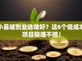 小县城创业选啥好？这6个低成本项目稳赚不赔！