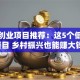 返乡创业项目推荐：这5个低成本项目 乡村振兴也能赚大钱！