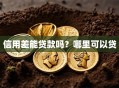 信用差能贷款吗？哪里可以贷