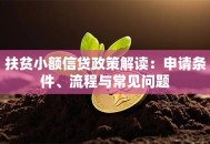 扶贫小额信贷政策解读：申请条件、流程与常见问题