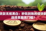 贷款无视黑白：秒批到账的借贷新选择真能无门槛？