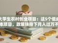 大学生农村创业项目：这5个低成本项目，政策扶持下月入过万不是梦！
