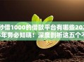 秒借1000的借款平台有哪些2025年务必知晓！深度剖析这五个不查征信2000贷款