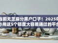 当前无芝麻分黑户口子！2025年必用这5个额度大容易通过的平台