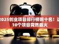2025创业项目排行榜前十名！这10个项目竟然最火