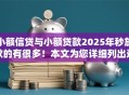 小额信贷与小额贷款2025年秒放款的有很多！本文为您详细列出这5个借钱平台！