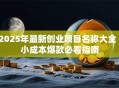 2025年最新创业项目名称大全｜小成本爆款必看指南