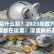 股票买什么股？2023年散户纠结的答案都在这里！深度解析潜力股布局策略