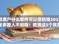 双黑户什么软件可以借到钱2025年多数人不知晓！梳理这5个双黑户网贷平台可以贷款