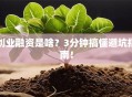创业融资是啥？3分钟搞懂避坑指南！