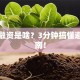 创业融资是啥？3分钟搞懂避坑指南！