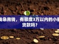 我急用钱，有额度3万以内的小额贷款吗？