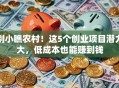 别小瞧农村！这5个创业项目潜力大，低成本也能赚到钱