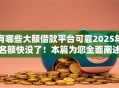 有哪些大额借款平台可靠2025年名额快没了！本篇为您全面阐述！