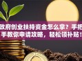 政府创业扶持资金怎么拿？手把手教你申请攻略，轻松领补贴！