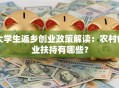 大学生返乡创业政策解读：农村创业扶持有哪些？