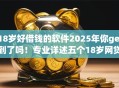 18岁好借钱的软件2025年你get到了吗！专业详述五个18岁网贷平台好贷款