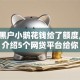 征信黑户小鹅花钱给了额度,隆重介绍5个网贷平台给你