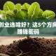 女生创业选啥好？这5个方向藏着赚钱密码