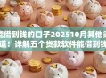 能借到钱的口子202510月其他渠道！详解五个贷款软件能借到钱口子