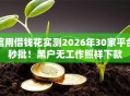 信用借钱花实测2026年30家平台秒批！黑户无工作照样下款