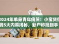 2024年单身青年痛哭！小宝贷借钱5大内幕揭秘，新户秒批到手！