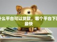 什么平台可以贷款，哪个平台下款最快