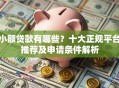 小额贷款有哪些？十大正规平台推荐及申请条件解析