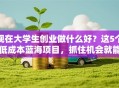 现在大学生创业做什么好？这5个低成本蓝海项目，抓住机会就能赚！