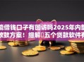 能借钱口子有回访吗2025年内部放款方案！细解​五个贷款软件有回访功能