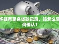 怀疑有莫名贷款记录，该怎么查询确认？
