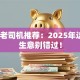 创业老司机推荐：2025年这5个生意别错过！