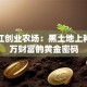 建三江创业农场：黑土地上种出千万财富的黄金密码